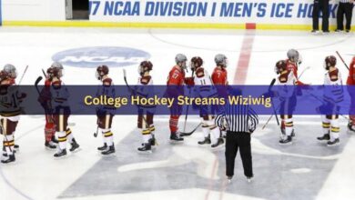 College Hockey Streams Wiziwig