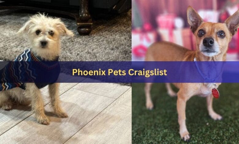 Phoenix Pets Craigslist