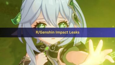 R/Genshin Impact Leaks
